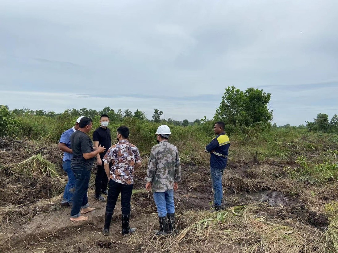 ���޹��ʡ�(����)���޹�˾����